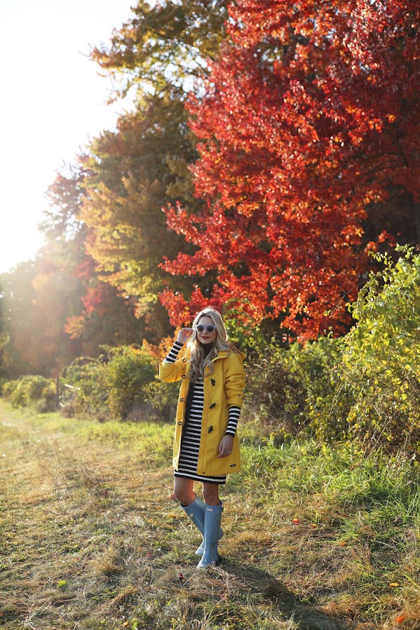 yellow for fall //